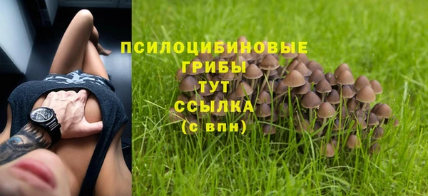 соль курить ск Горно-Алтайск