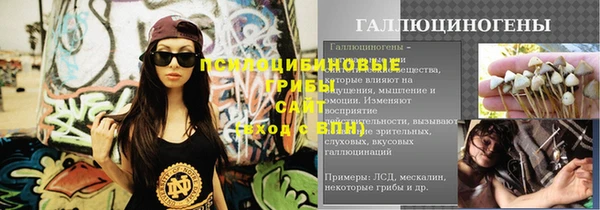 соль курить ск Горно-Алтайск